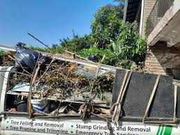 Shed Removal in Wilkes Barre, PA